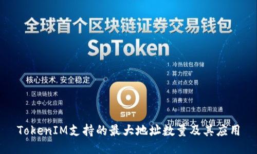 TokenIM支持的最大地址数量及其应用