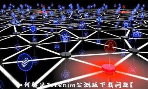 如何解决Tokenim公测版下载问题?