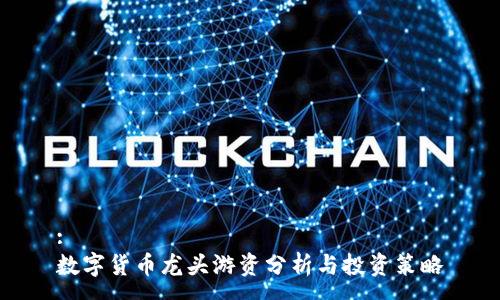 :
数字货币龙头游资分析与投资策略