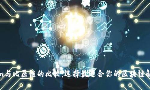 Tokenim与比原链的比较:选择最适合你的区块链解决方案