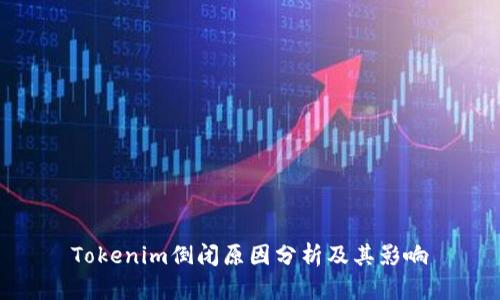 Tokenim倒闭原因分析及其影响