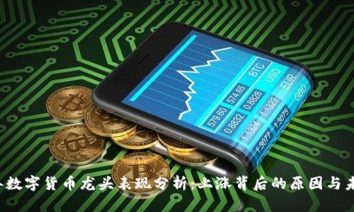 2020年数字货币龙头表现分析：上涨背后的原因与未来展望