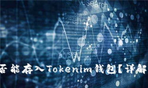 FIL是否能存入Tokenim钱包?详解与指南