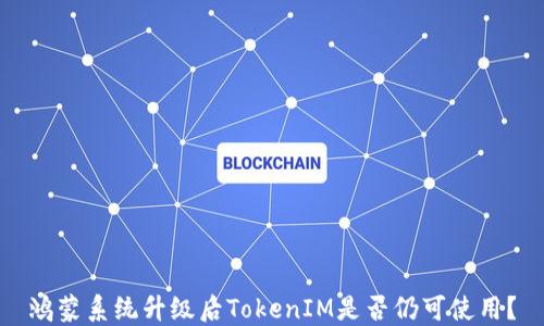 鸿蒙系统升级后TokenIM是否仍可使用?