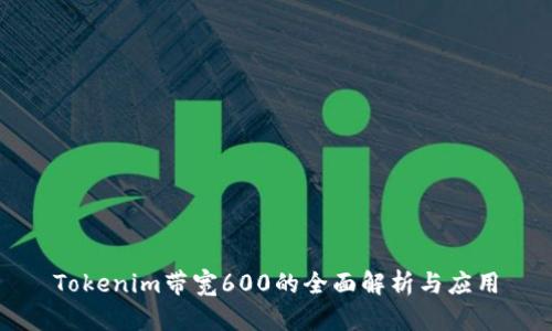 Tokenim带宽600的全面解析与应用