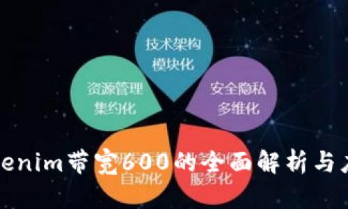 Tokenim带宽600的全面解析与应用