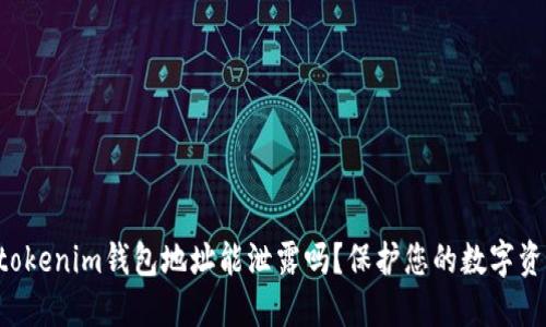 Tokentokenim钱包地址能泄露吗?保护您的数字资产安全