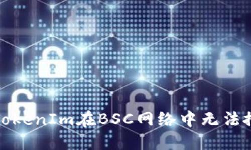 如何解决TokenIm在BSC网络中无法搜索的问题