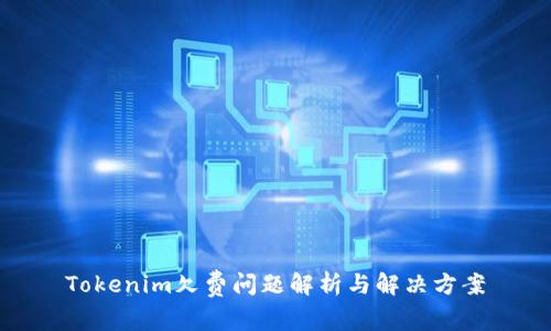 Tokenim欠费问题解析与解决方案