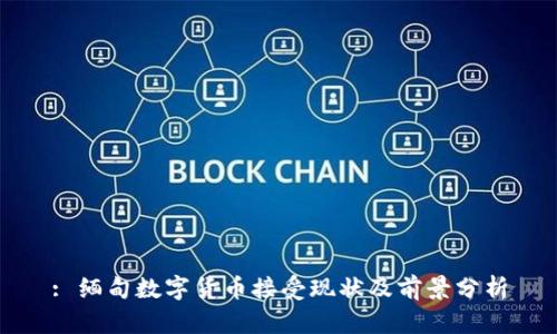 : 缅甸数字货币接受现状及前景分析