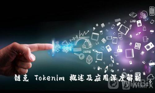 链克 Tokenim 概述及应用深度解析