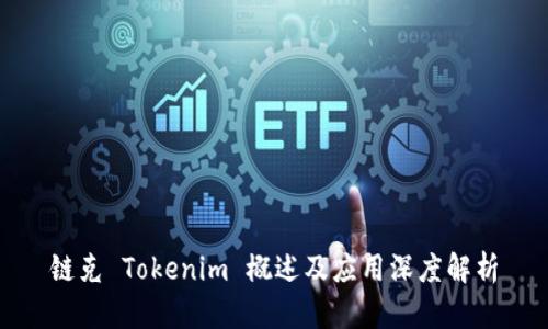 链克 Tokenim 概述及应用深度解析