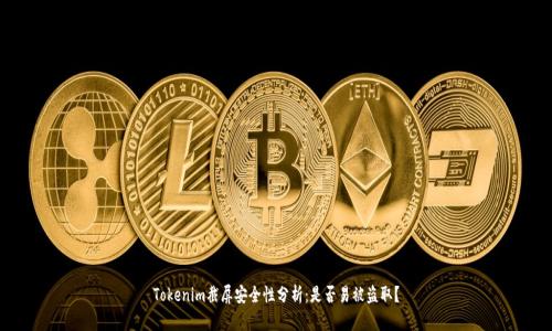 Tokenim截屏安全性分析:是否易被盗取?