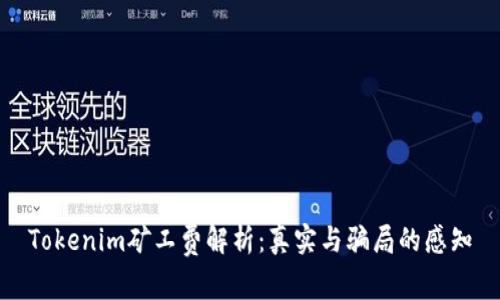 Tokenim矿工费解析:真实与骗局的感知