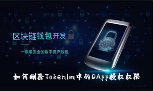如何删除Tokenim中的DApp授权权限