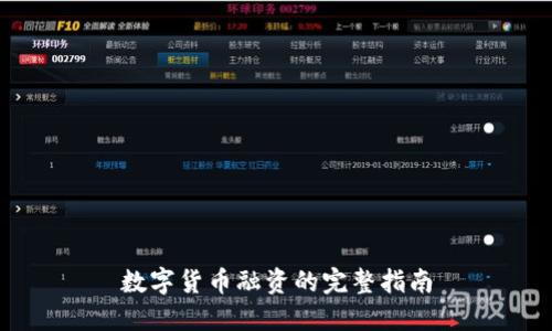 数字货币融资的完整指南