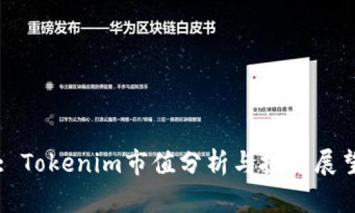 : Tokenim市值分析与投资展望