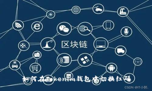 如何在Tokenim钱包中切换红码