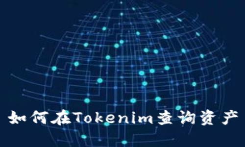 如何在Tokenim查询资产