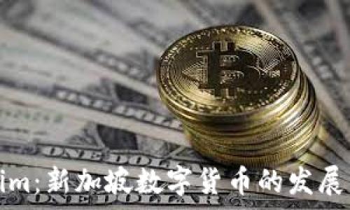   
Tokenim：新加坡数字货币的发展与前景