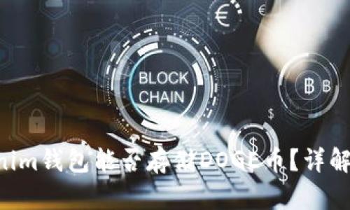 TokenTokenim钱包能否存储DOGE币？详解及使用指南