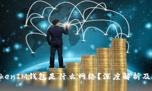TokenTokenIM钱包是什么网络？深度解析及使用指南