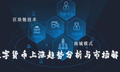 数字货币上涨趋势分析与