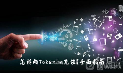 怎样向Tokenim充值？全面指南