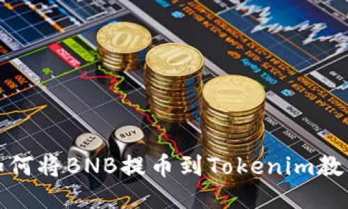如何将BNB提币到Tokenim教程