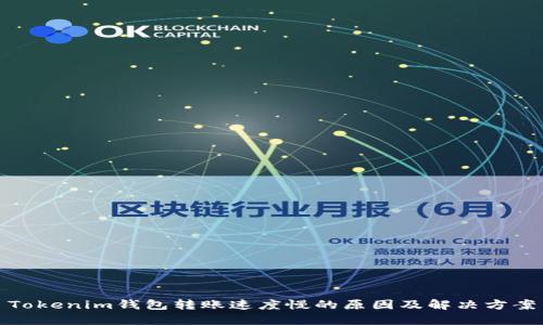 Tokenim钱包转账速度慢的原因及解决方案