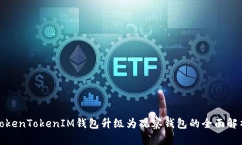 TokenTokenIM钱包升级为观察钱包的全面解析