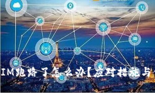 : TokenIM跑路了怎么办？应对措施与保障指南