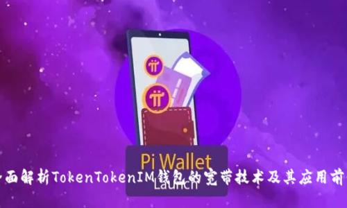 全面解析TokenTokenIM钱包的宽带技术及其应用前景
