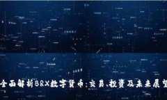 全面解析BRX数字货币：交