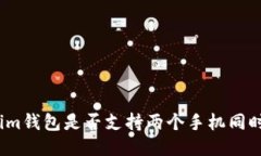 Tokenim钱包是否支持两个手