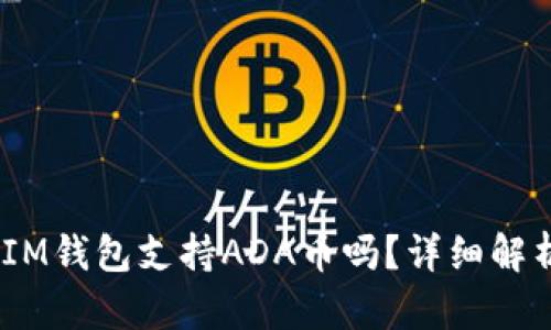 TokenTokenIM钱包支持ADA币吗？详细解析与使用指南