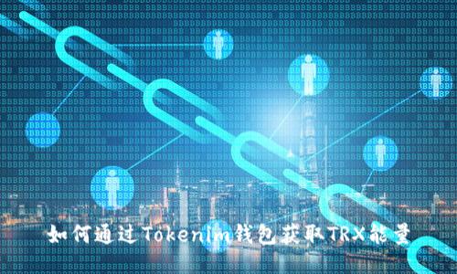 如何通过Tokenim钱包获取TRX能量