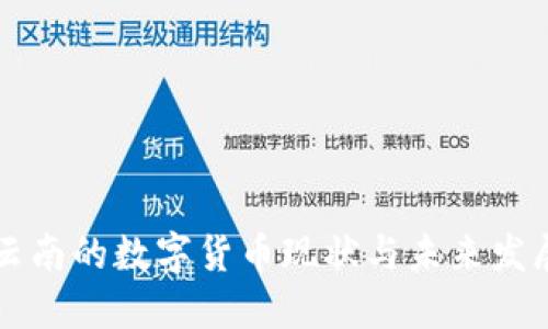 云南的数字货币现状与未来发展
