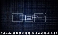 Tokenim赚钱模式详解：新手