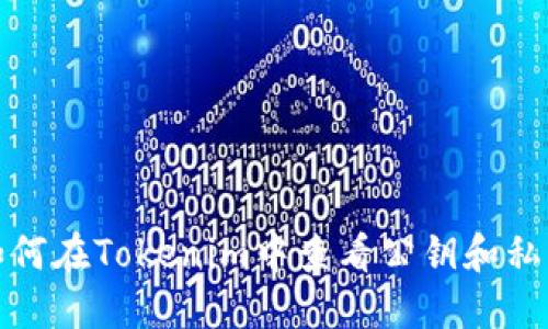 如何在Tokenim中查看公钥和私钥