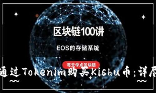 如何通过Tokenim购买Kishu币：详尽指南