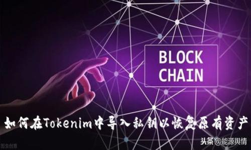 如何在Tokenim中导入私钥以恢复原有资产
