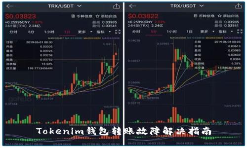 Tokenim钱包转账故障解决指南