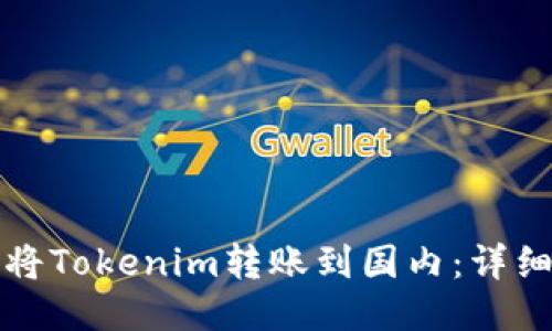 如何将Tokenim转账到国内：详细指南