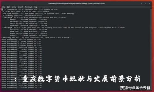 : 重庆数字货币现状与发展前景分析