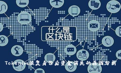 Tokenim恢复身份后资金消失的原因分析