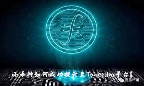 小币种如何成功提升至Tokenim平台？