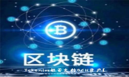 Tokenim能否支持BCH资产？