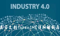 RVN是否支持TokenIM？详细解