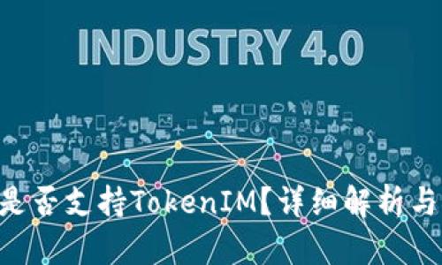 RVN是否支持TokenIM？详细解析与探讨